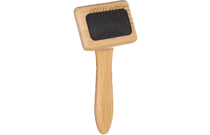 Brosse à picots incurvés