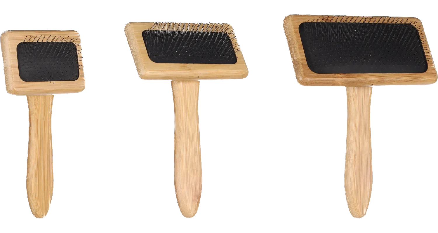 Brosse à picots incurvés