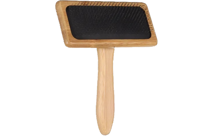 Brosse à picots incurvés