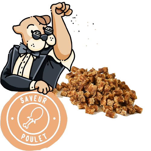 Friandises au poulet