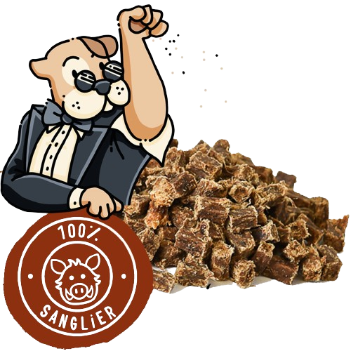 Friandises au sanglier