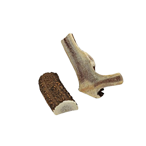 Bois de cerf scies pour chien à mastiquer