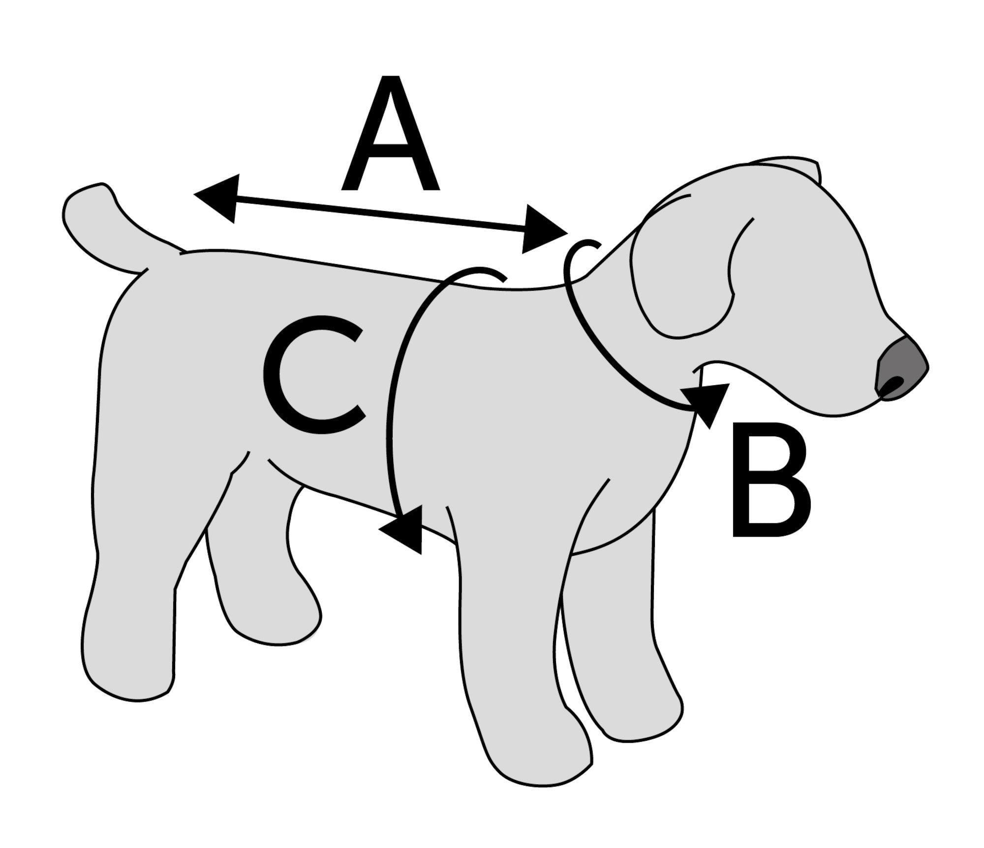 Body pour chiens guide d'installation