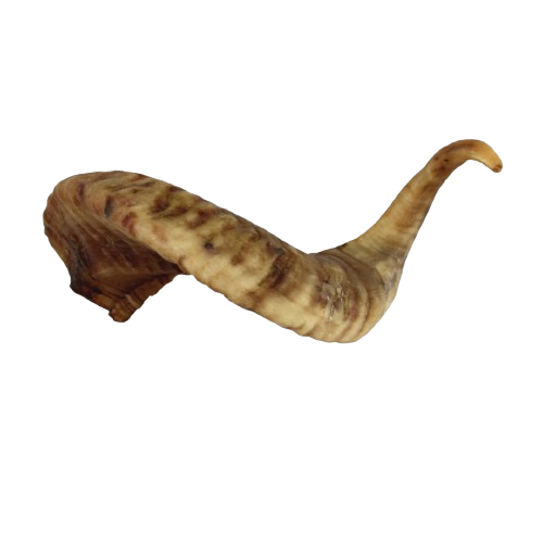 corne de mouton pour chien à mastiquer