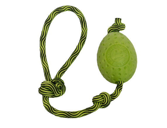 Jouet Egg Maxi - KIWI WALKER