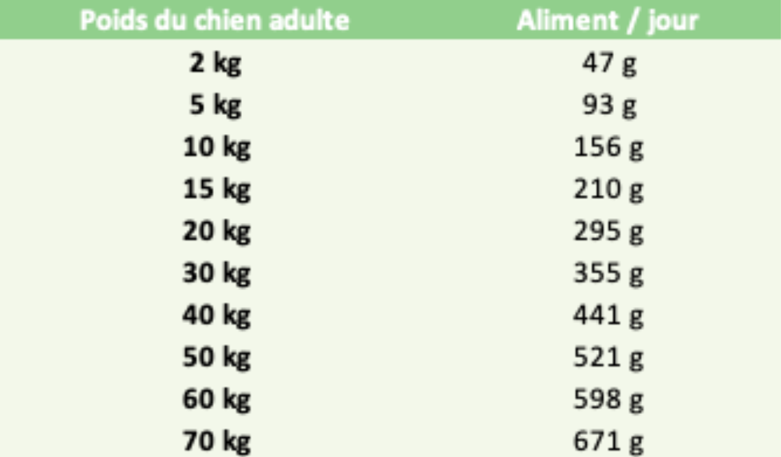 Croquettes Wolfood - Original High Meat