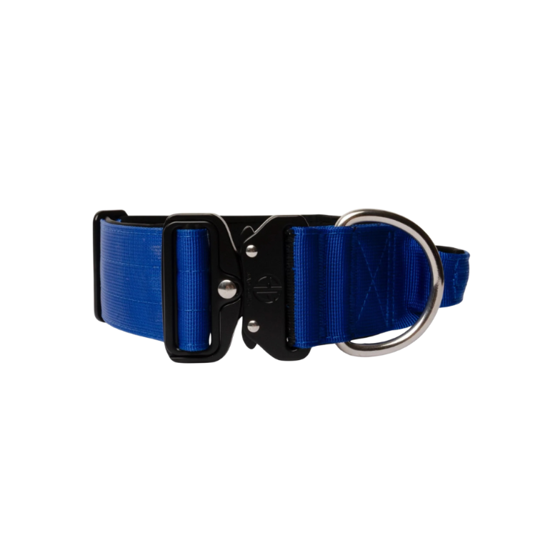 Collier 5cm Bad Guys couleur Bleu