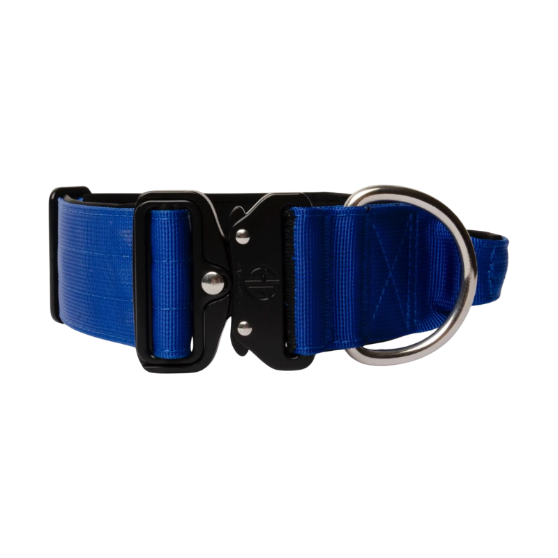 Collier 5cm Bad Guys couleur Bleu