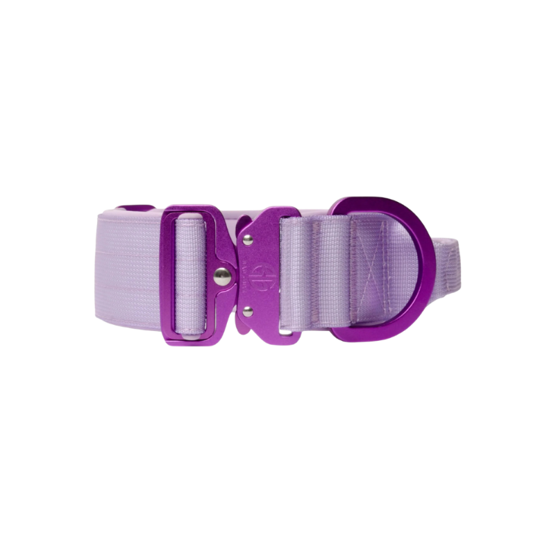 Collier 5cm Bad Guys couleur Lila