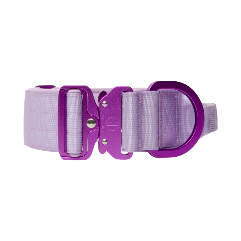 Collier 5cm Bad Guys couleur Lila