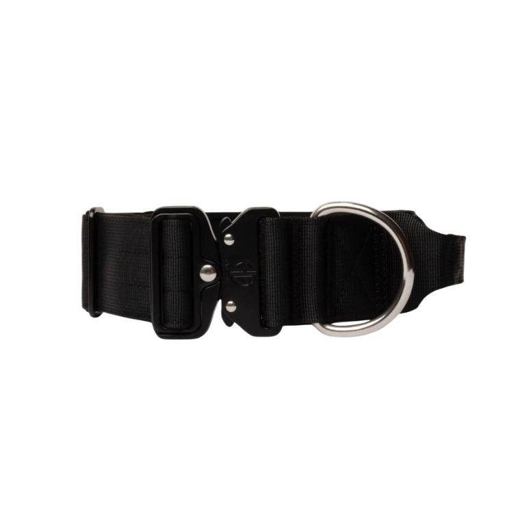 Collier 5cm Bad Guys couleur Noir