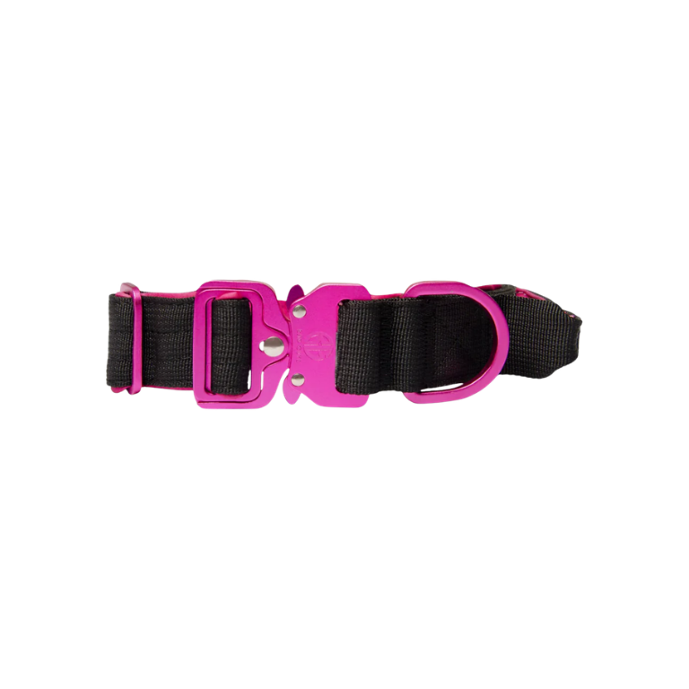 Collier_Bad_Guys_-_3cm_-_Noir_et_Rose