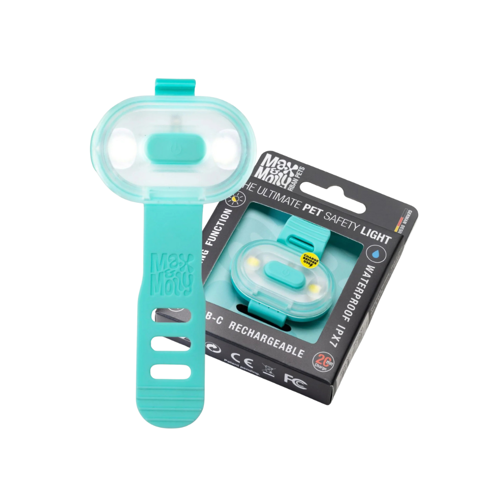 Collier à LED pour chien de la marque Max & Molly, gamme Matrix 2.0 couleur Turquoise