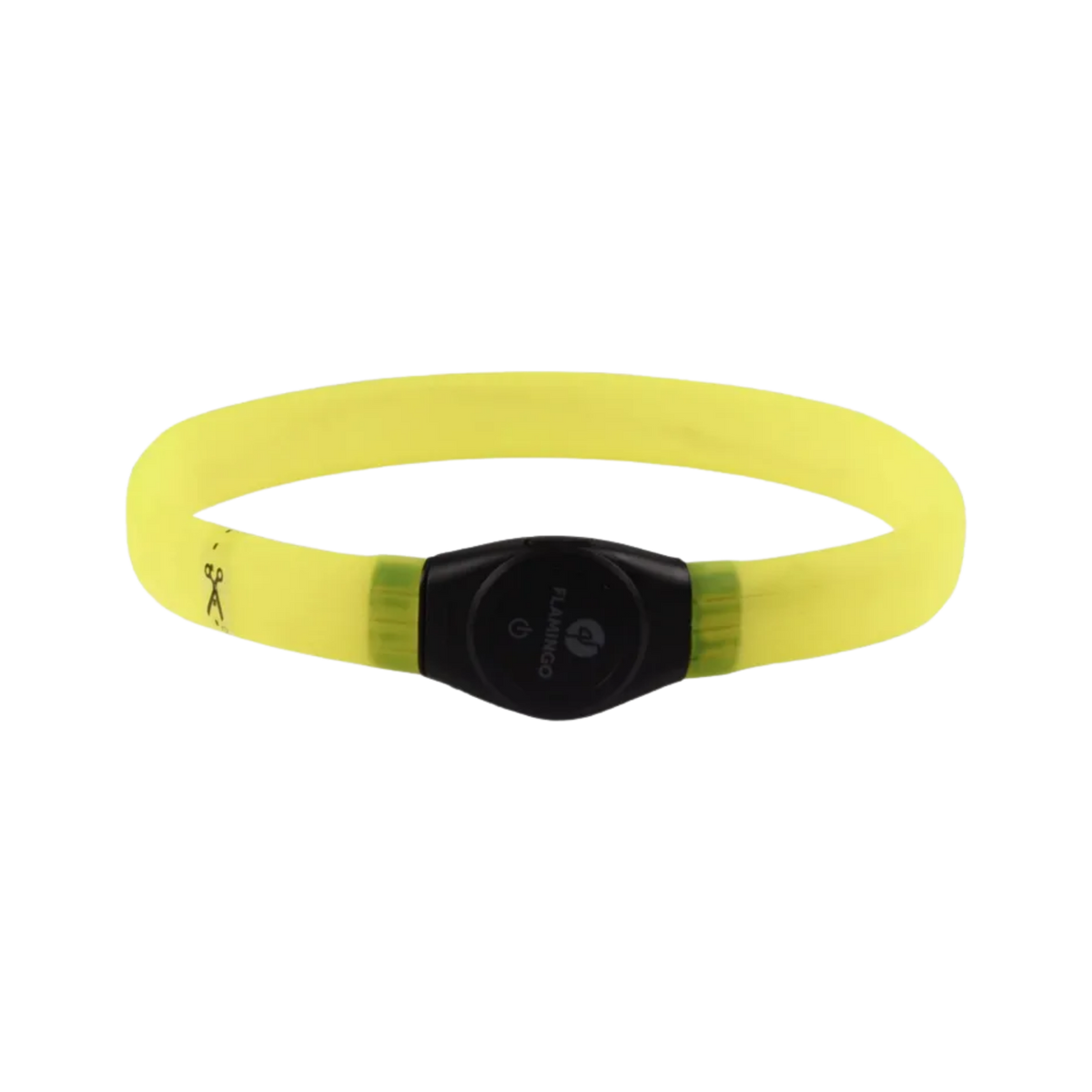 Collier lumineux pour chien