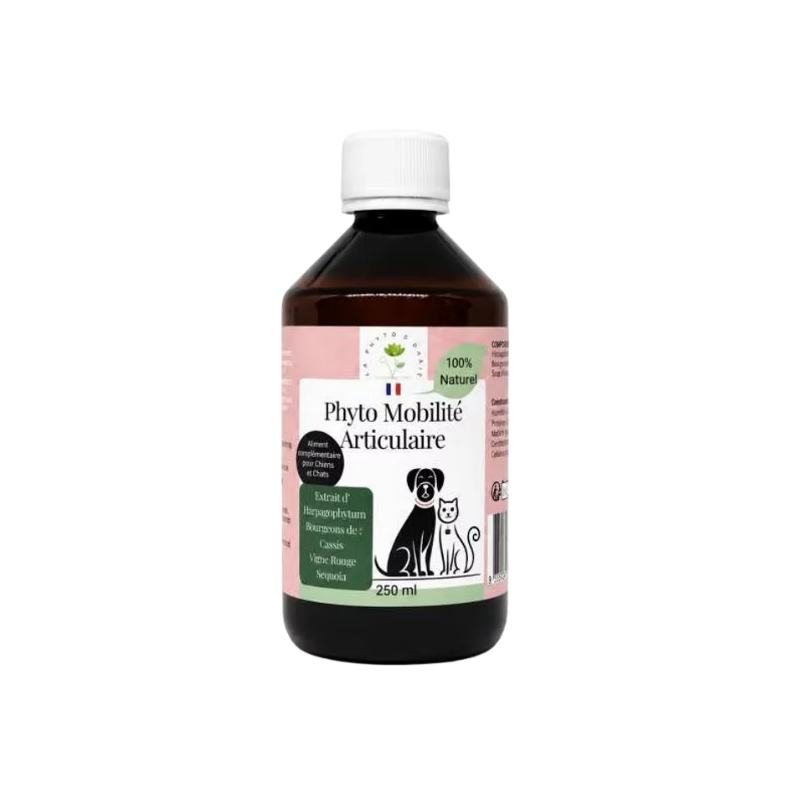 Complément alimentaire pour chien et chat Phyto Mobilité articulaire