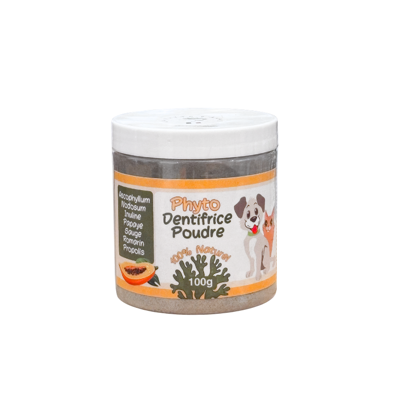 Dentifrice en poudre pour chien et chat