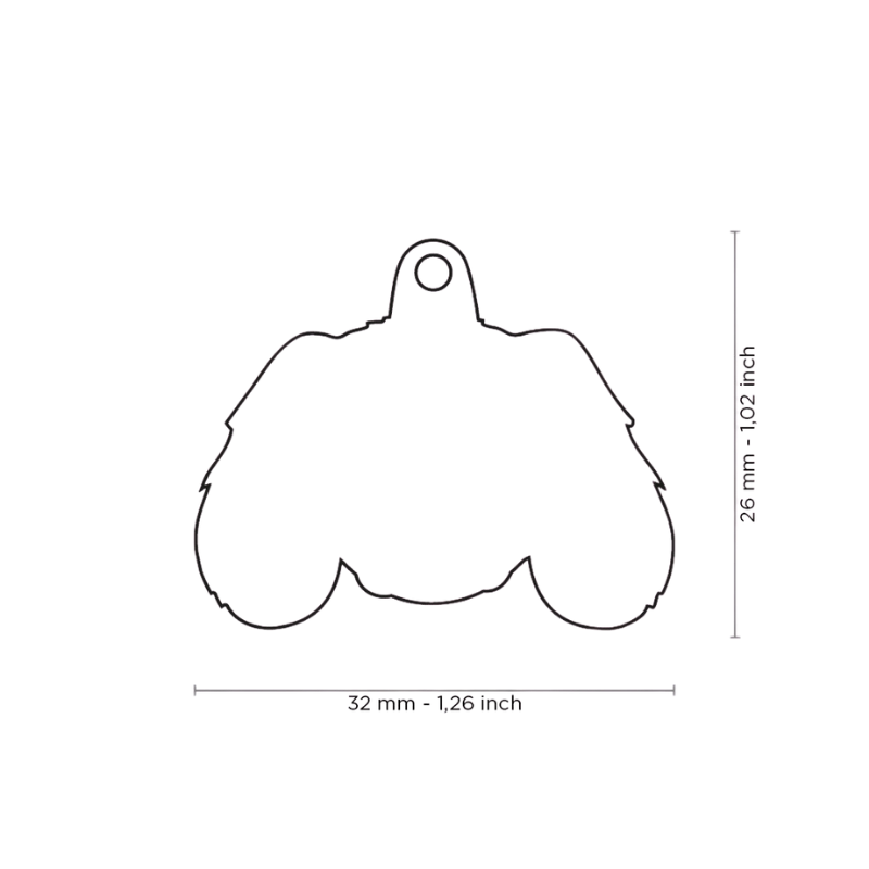 Dimensions médaille pour chien forme Cavalier King Charles 32x26mm