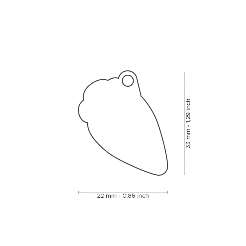 Dimensions médaille pour chien forme carotte 22x33mm