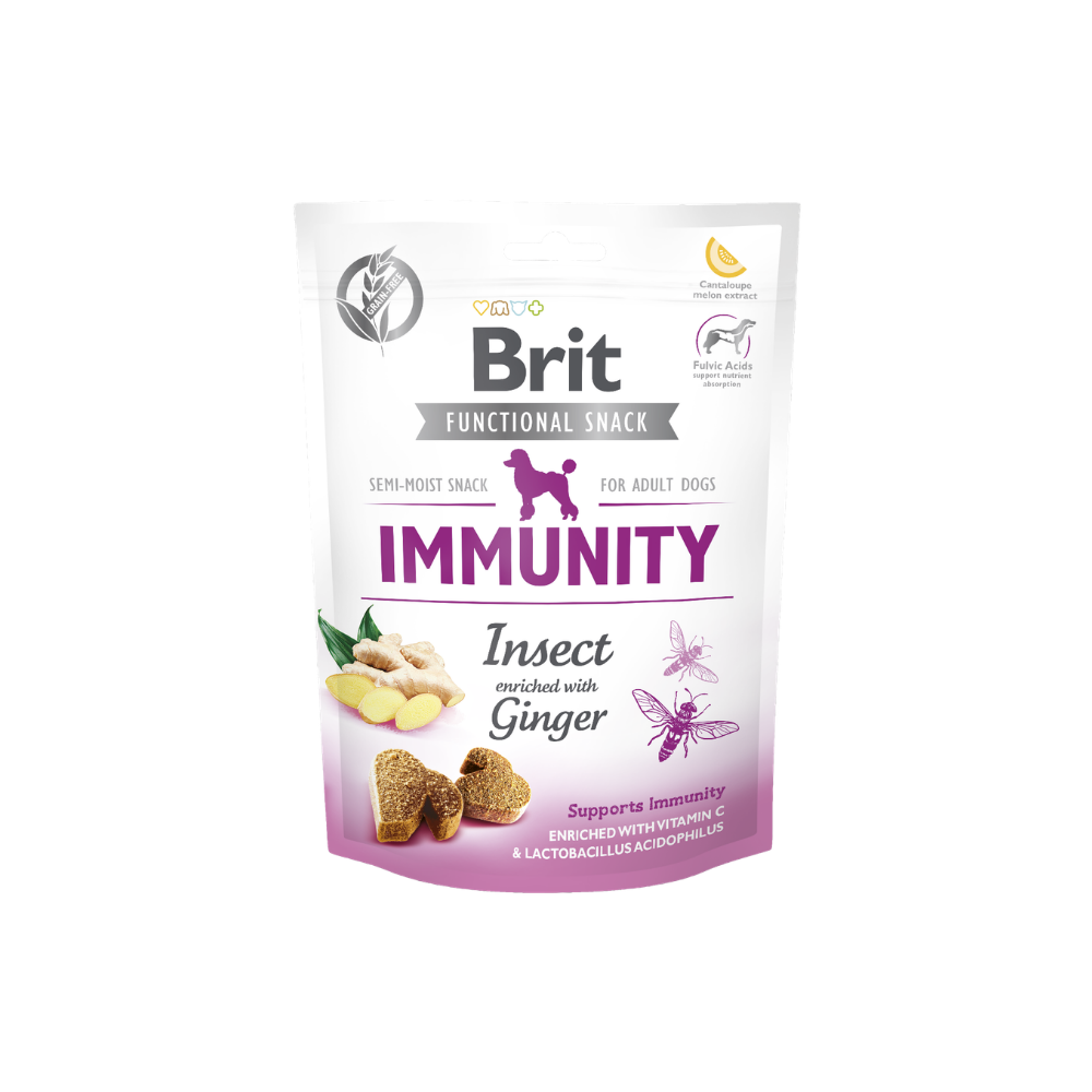 Friandises pour chien pour soutien immunitaire au gingembre et aux insectes