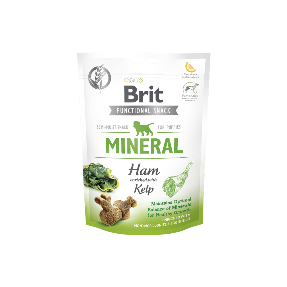 Friandises pour chiot semi-humide pour soutenir la croissance du chiot