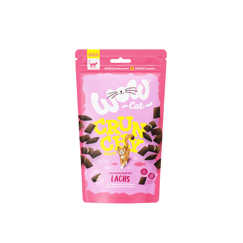 Friandises crouti-crémeuse pour chat au saumon