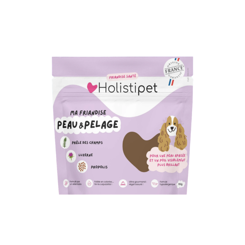 Friandises pour chien peau et pelage holistipet