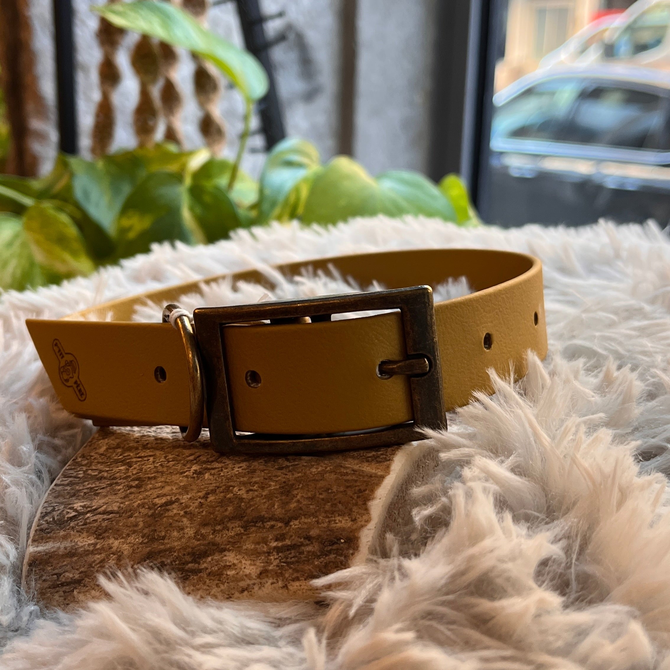 Collier Biothane  - Moutarde