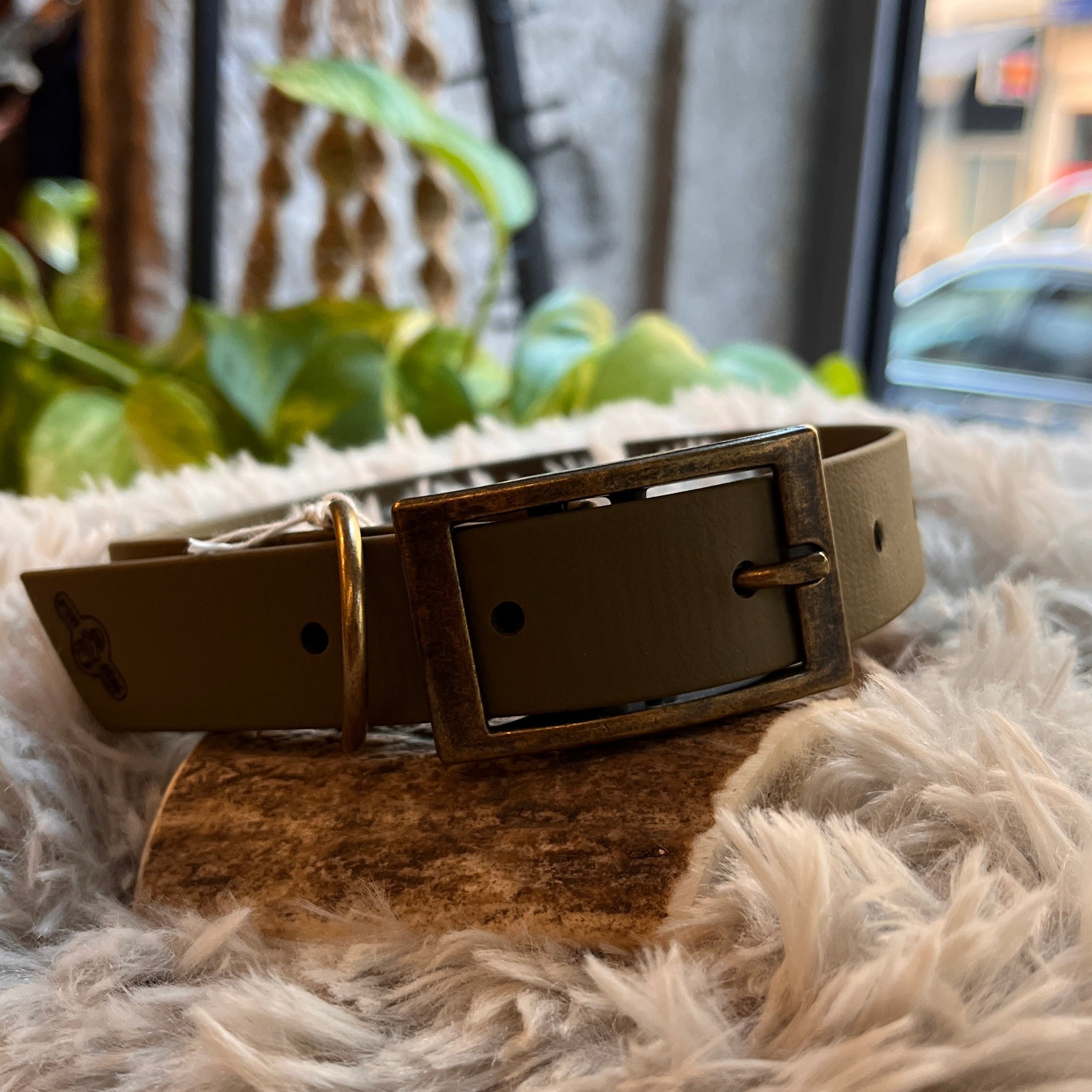 Collier Biothane  - Olive