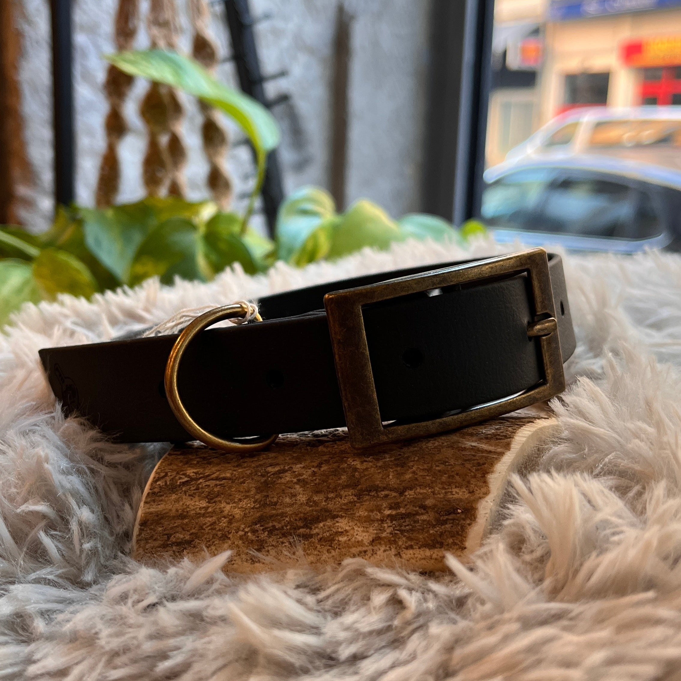 Collier Biothane  - Noir