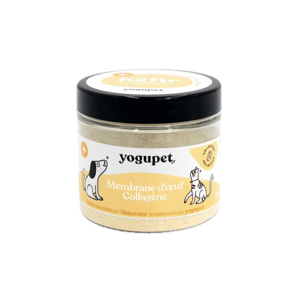 Kefir-lyophilise-anti-inflammatoire