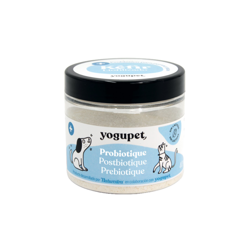 Kefir-lyophilise-digestif