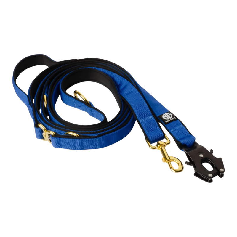 Laisse multiposition 3 points Bad Guys couleur bleu