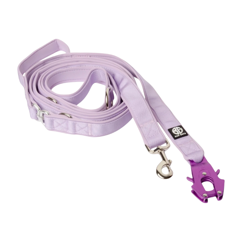 Laisse Multiposition 3 points - Bad Guys