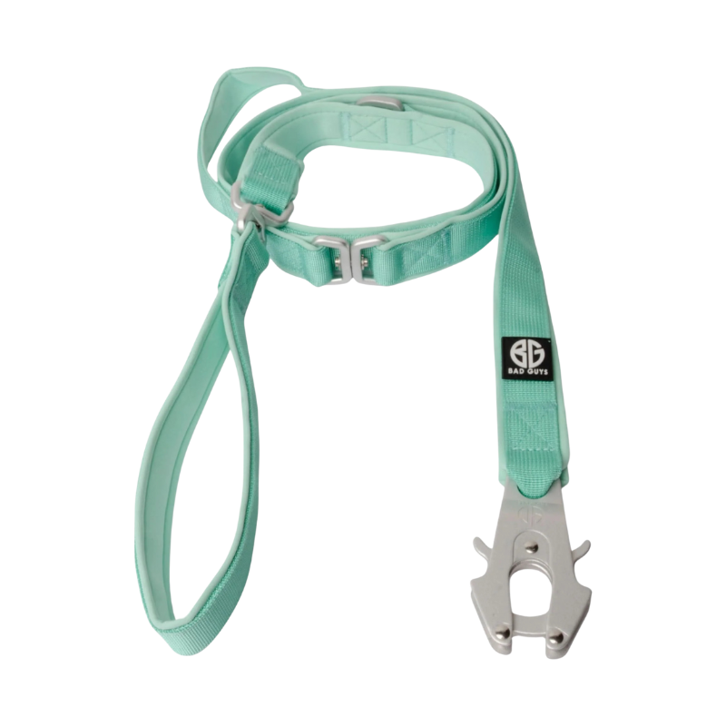 Laisse Bad Buys gamme Sniper couleur Aigues Marine