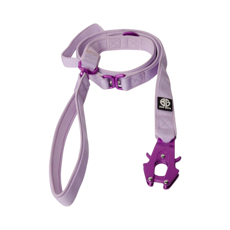 Laisse Bad Buys gamme Sniper couleur Lila