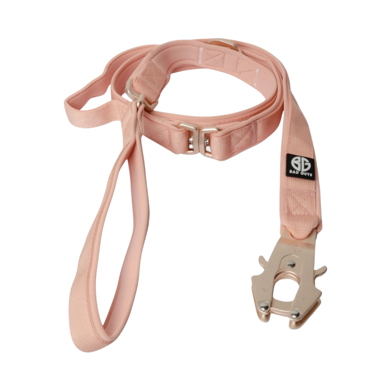 Laisse Bad Buys gamme Sniper couleur Or rose