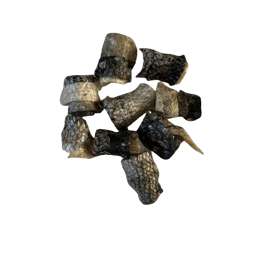 Morceau de peau de Saumon