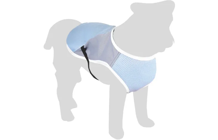 Manteau rafraîchissant bleu gris pour chien