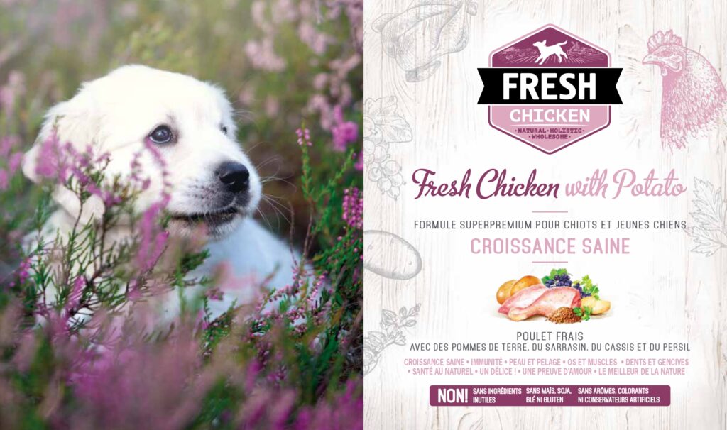 Croquettes pour chiot - Brit Fresh saveur poulet et pommes de terre