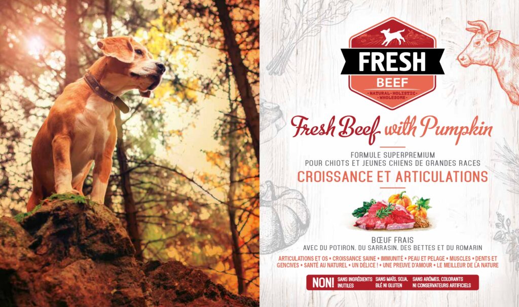 Croquettes pour chiot - Brit Fresh saveur boeuf et potiron