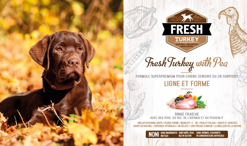 Croquettes pour chien senior - Brit Fresh saveur dinde et pois