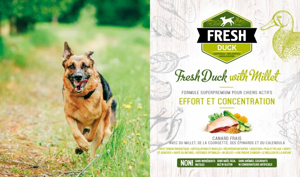 Croquettes pour chien adulte - Brit Fresh saveur canard et millet