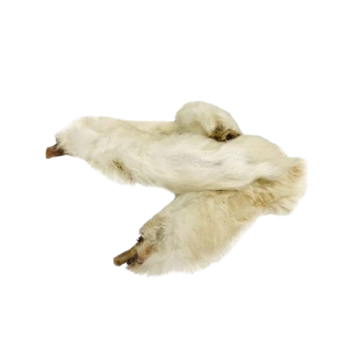 Pattes de lapin avec poils