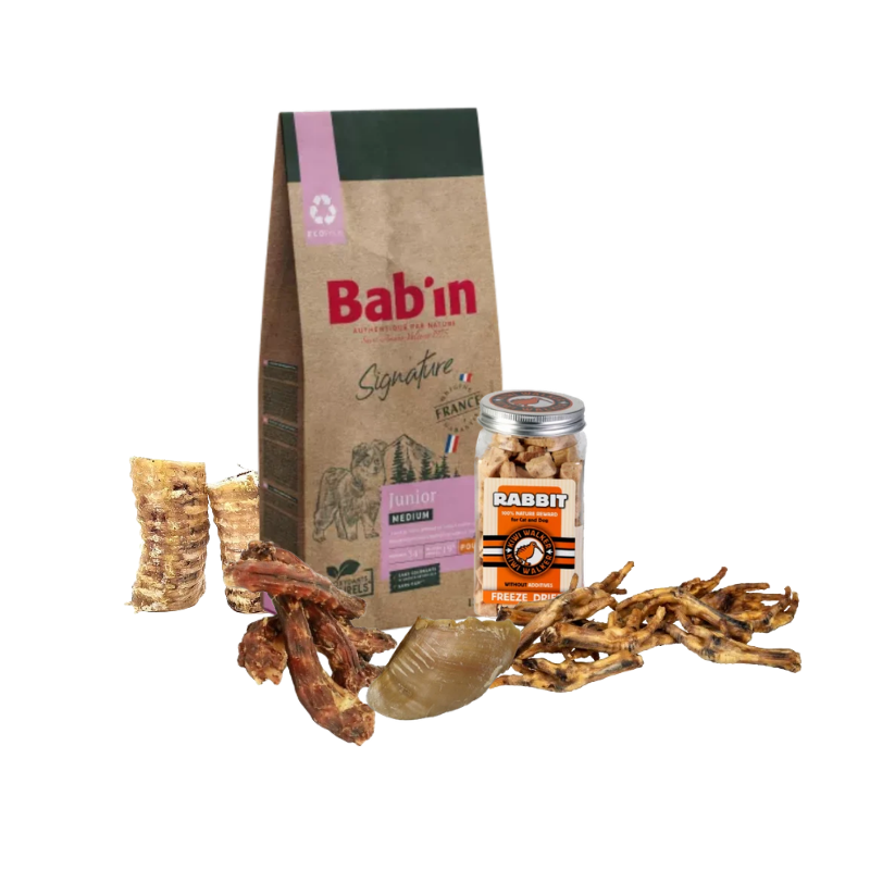 Pack Rentrée - Chiot - Médium
