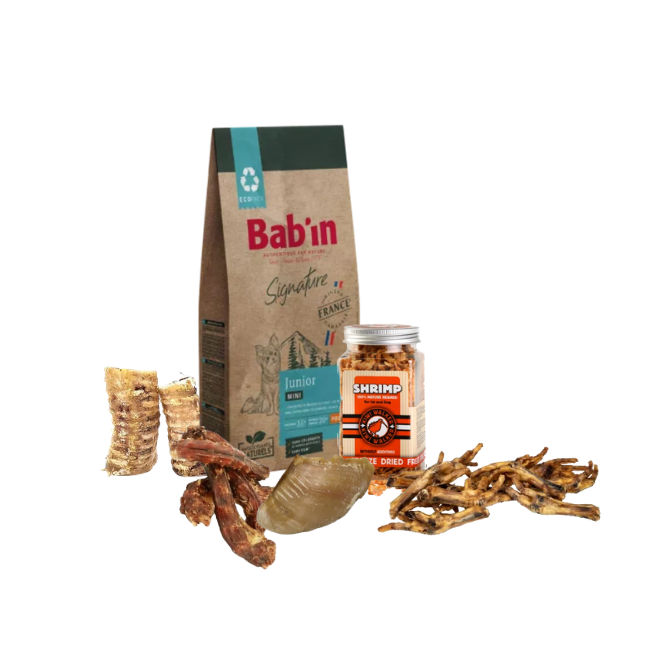 Pack Rentrée - Chiot - Mini