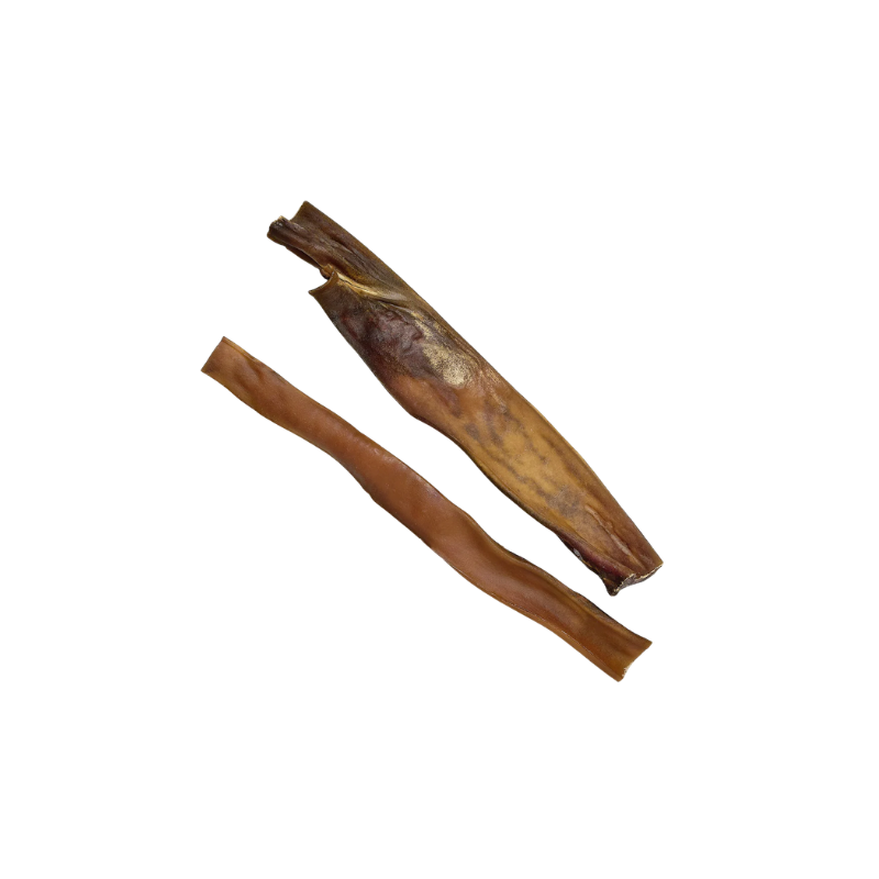 Peau de chameau 40cm pour chien à mastiquer