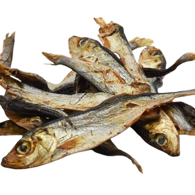 Petits poissons séchés