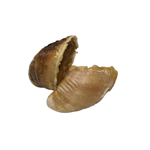 Sabots de veau XL, mastication pour chien