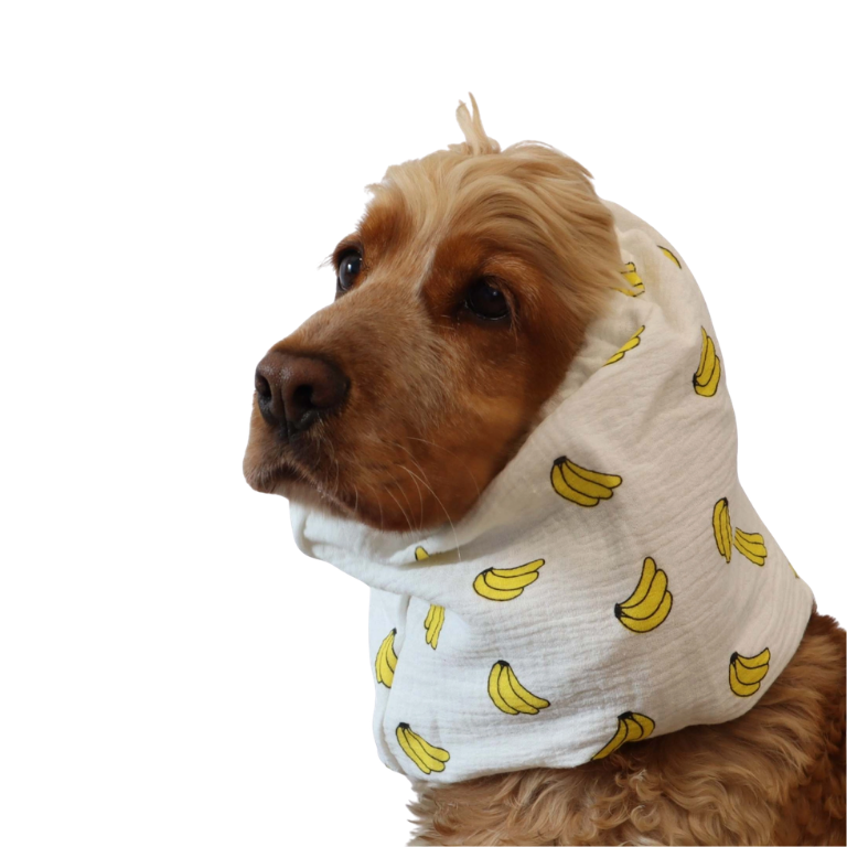 Snood banane