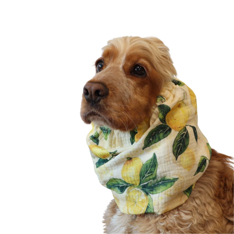 Snood citron